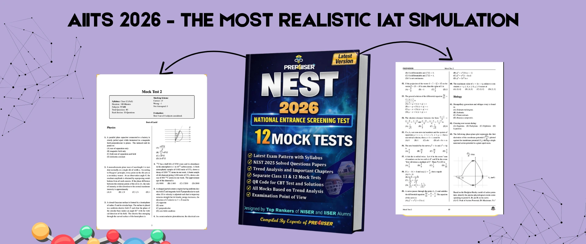 Most Realistic NEST Simulation